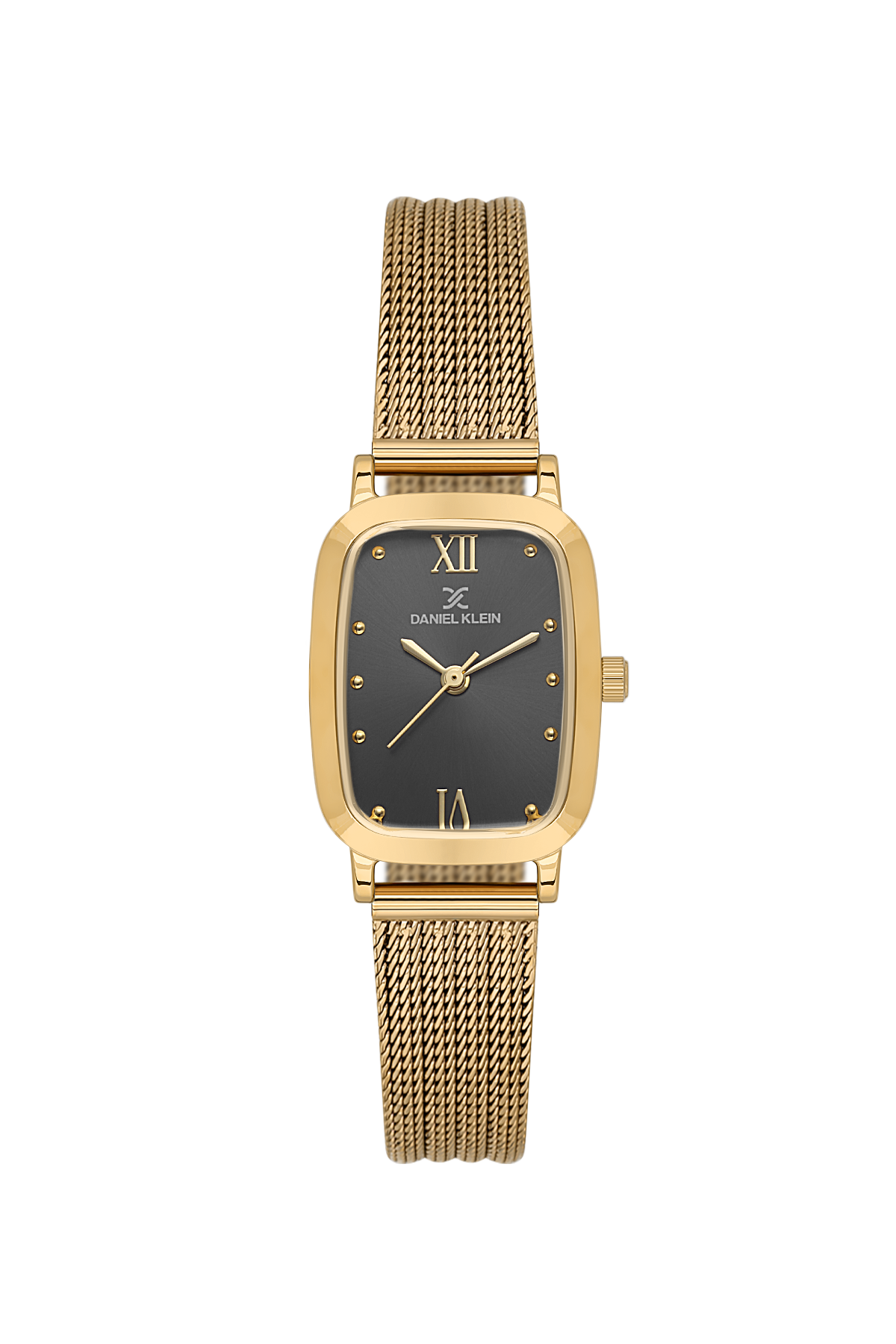 Daniel Klein Wrist Watch for Women DK.1.14125-2