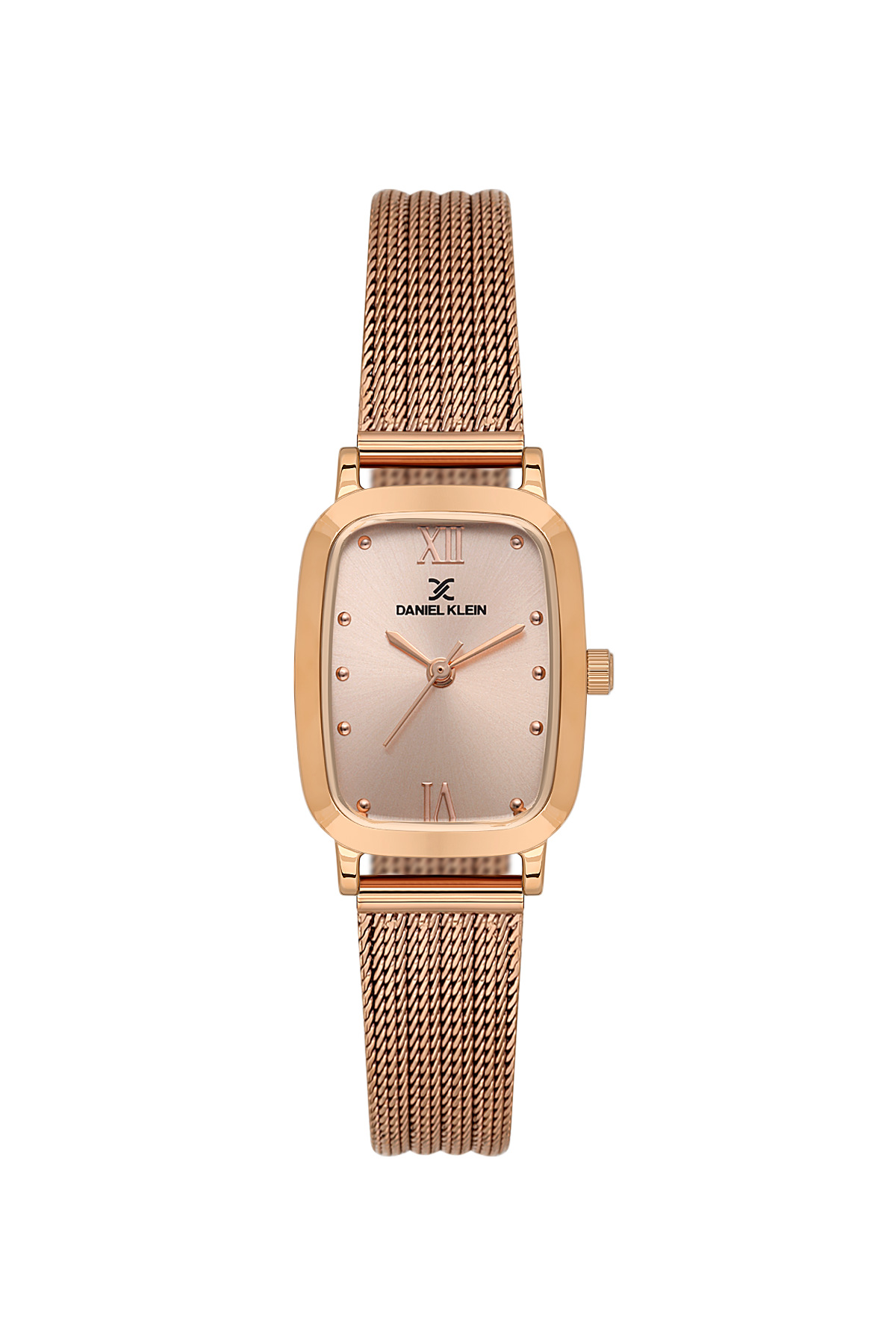Daniel Klein Wrist Watch for Women DK.1.14125-6