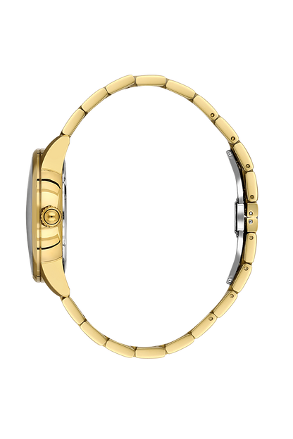 Daniel Klein Silver IP Gold Date Wrist Watch for Men DK.1.14286-5