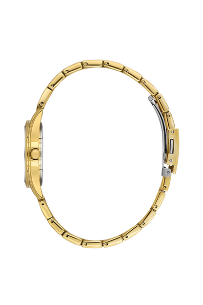 Daniel Klein Silver IP Gold Wrist Watch for Women DK.6.14275-6