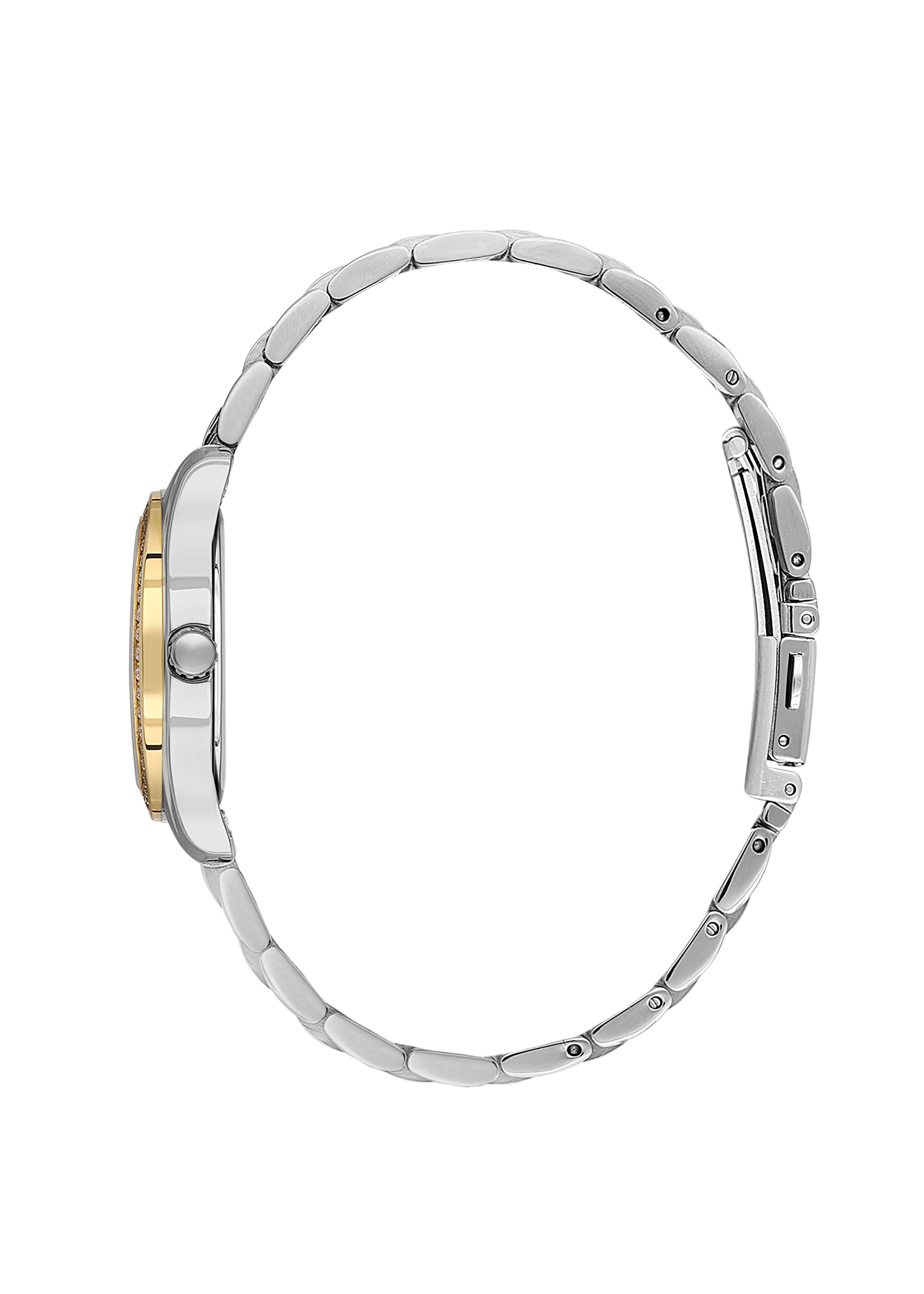 Santa Barbara Polo Wrist Watch for Women SB.1.10620-4